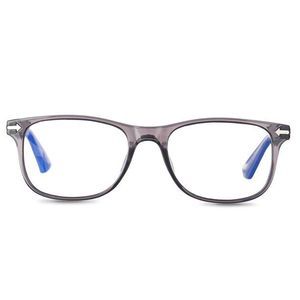 ARDEN BLUELIGHT COLOR READING GLASSES, 1 PAIR Crystal Gray +1.00